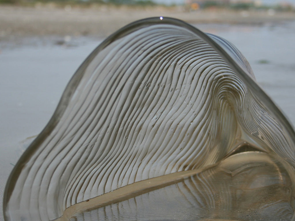 Allungato Inciso Vase